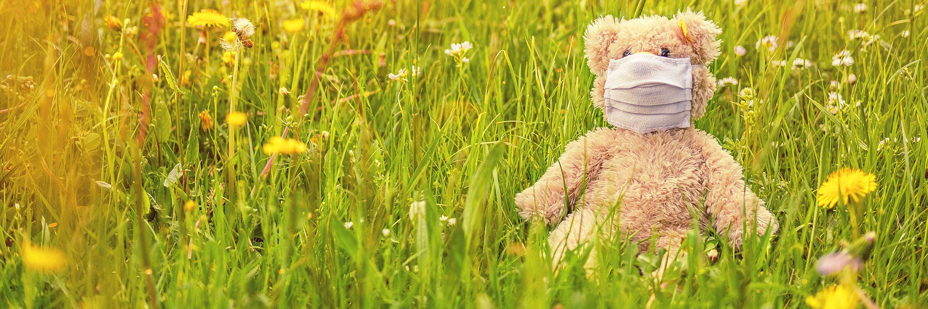 Infektionsschutz in der Kinderklinik Teddybär mit Maske auf einer Wiese