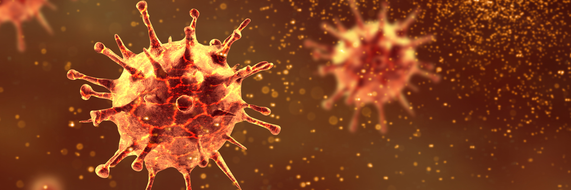 Picture: Macro image of a coronavirus