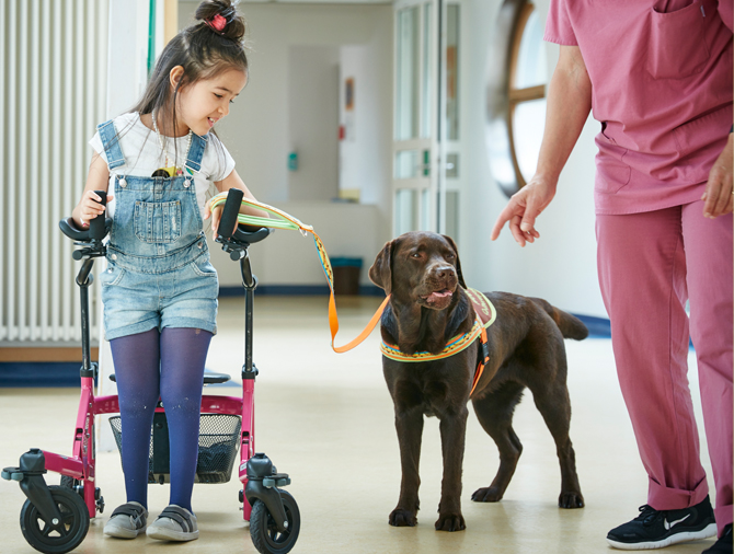 Bild: Therapiehund Fanny wird von einem Mädchen unter Anweisung der Therapeutin an der Leine geführt