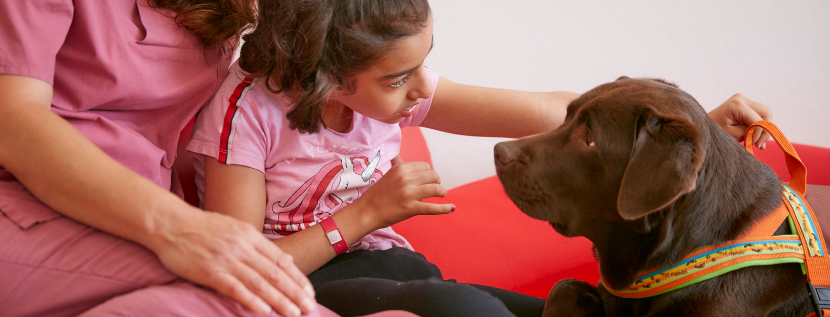 Animal-assisted therapy at the Schömberg Children's Hospital Picture: With the support of his therapist, a patient makes contact with a therapy dog by petting it.